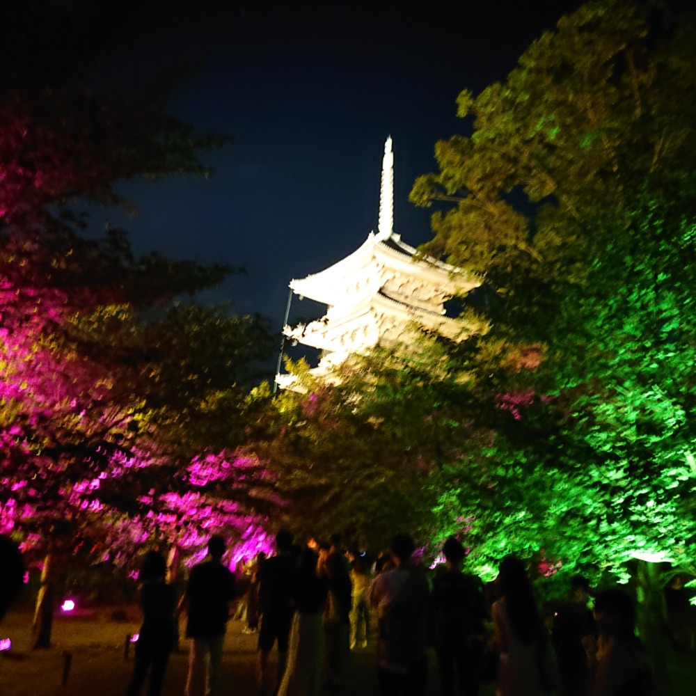 21年夏 東寺 ライトアップ チームラボ 東寺 光の祭 レポ 三日人のブログ